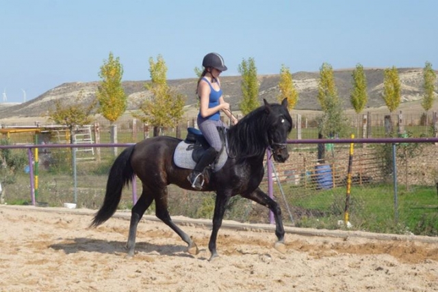 disfrutando de los caballos